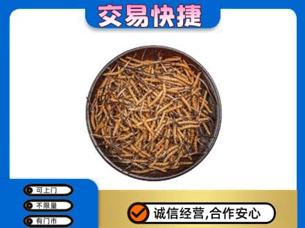 镇江市句容回收散虫草